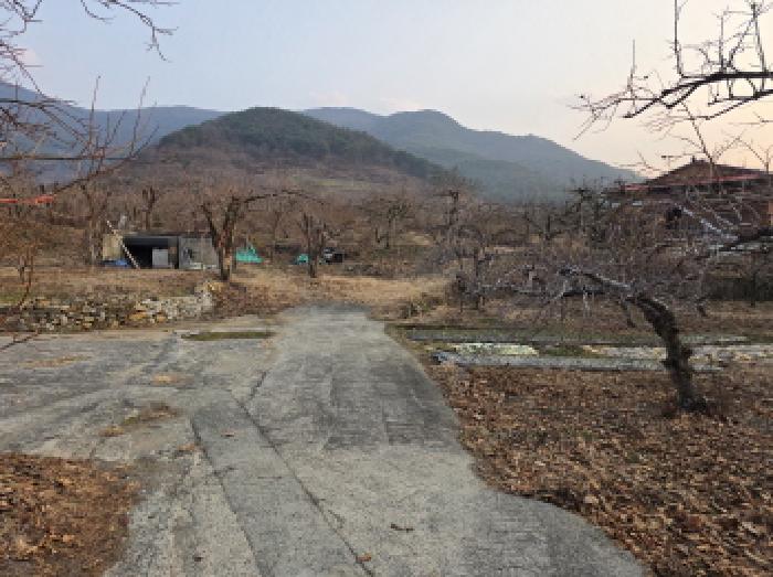 물건 사진 3