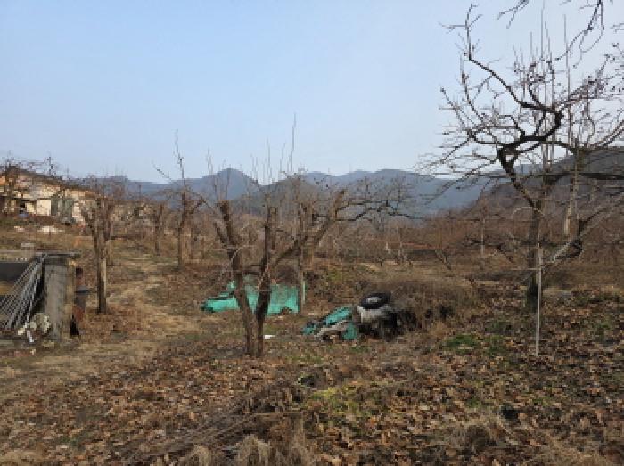 물건 사진 7
