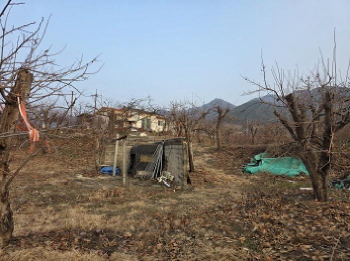 물건 사진 8