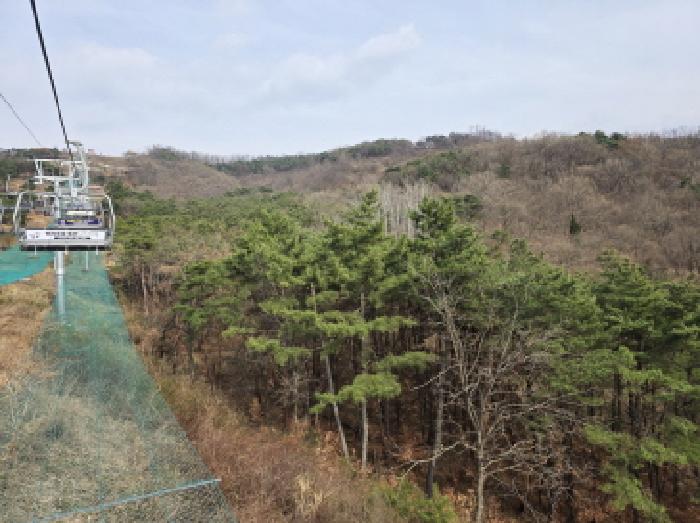 물건 사진 43