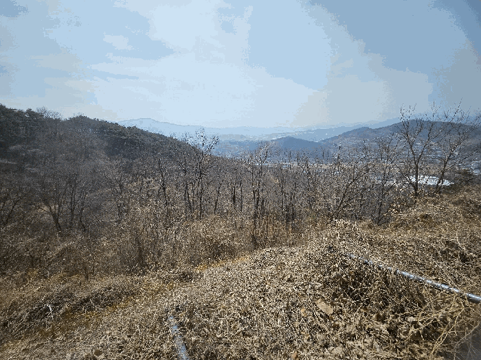 물건 사진 64