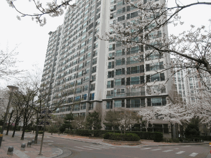 물건 사진 7
