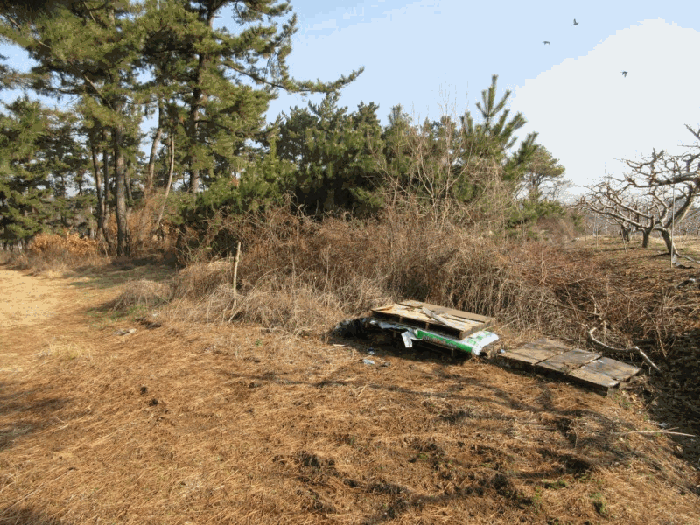 물건 사진 22