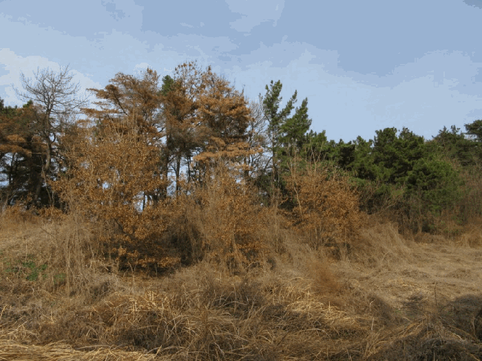 물건 사진 23