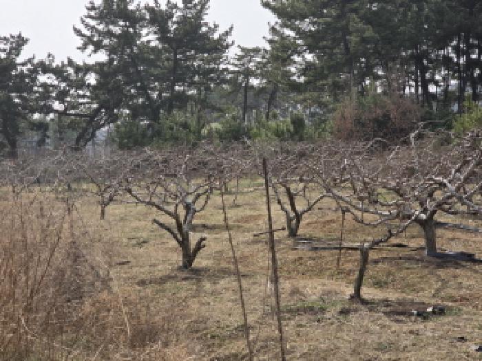 물건 사진 9