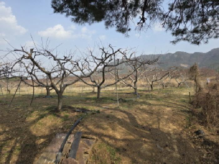 물건 사진 10