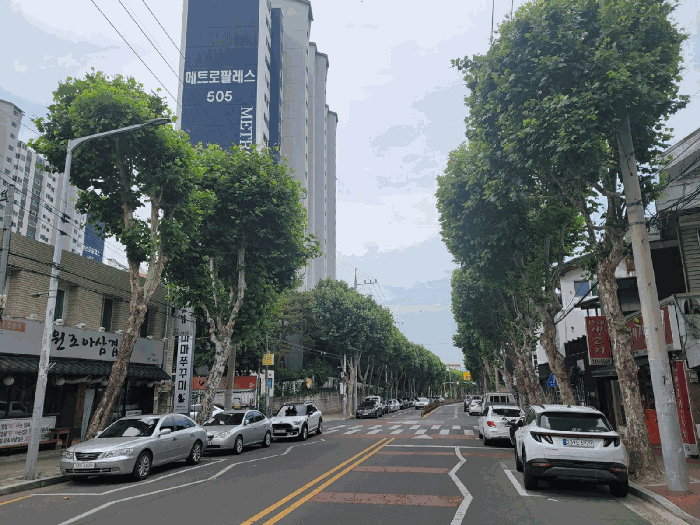 물건 사진 11