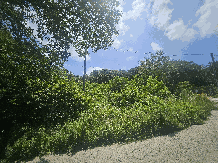 물건 사진 11