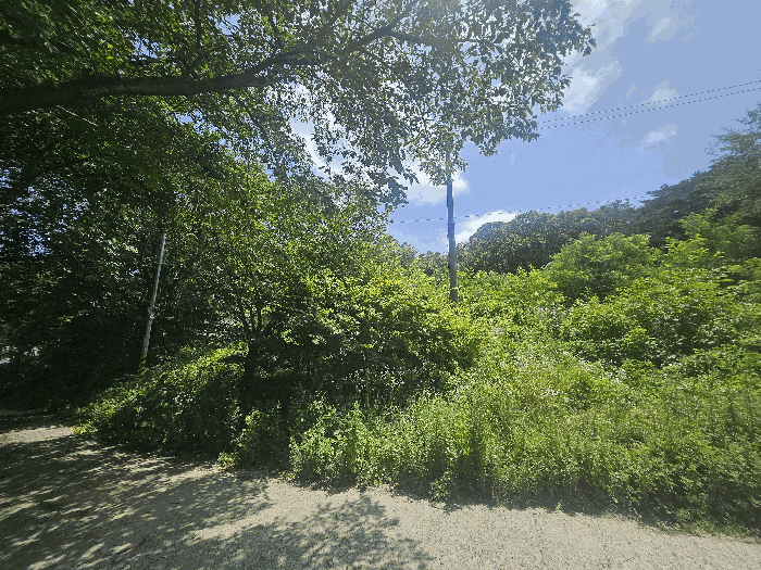 물건 사진 7