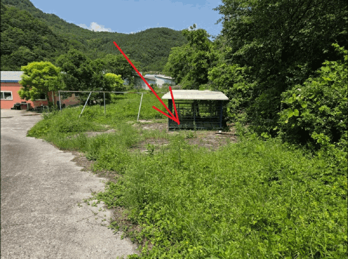 물건 사진 19