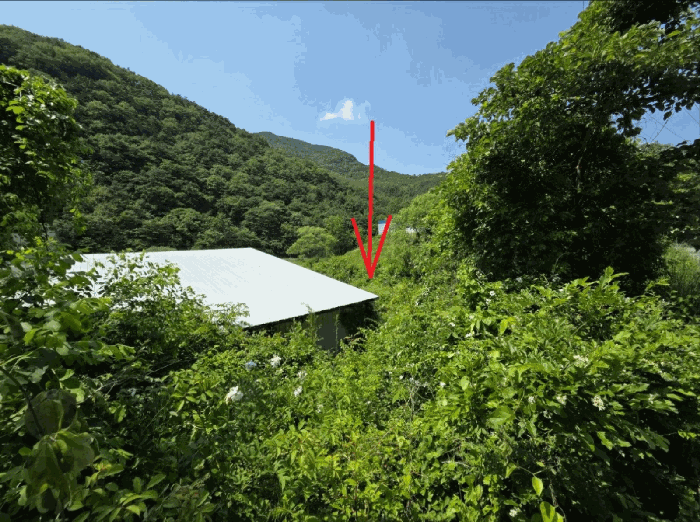물건 사진 21
