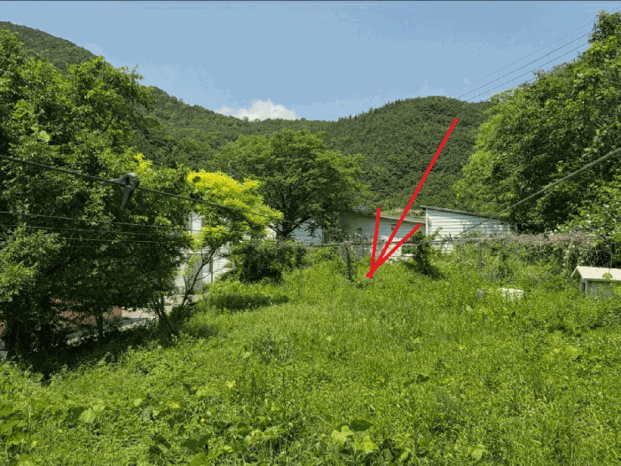 물건 사진 33