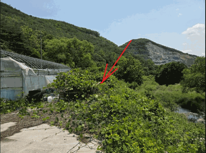 물건 사진 34