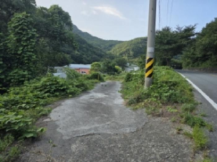 물건 사진 5