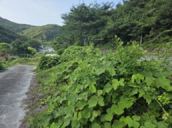 물건 사진 9