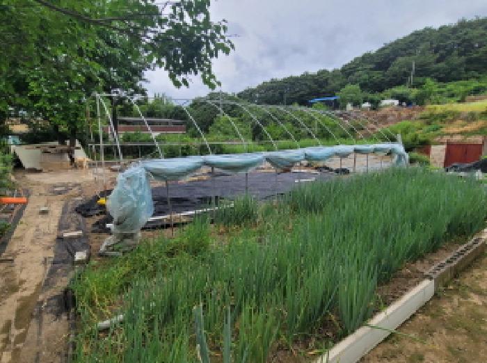 물건 사진 12