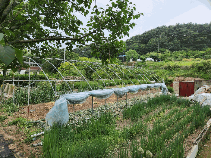 물건 사진 21
