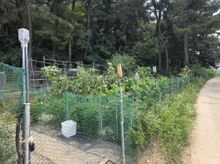 물건 사진 3