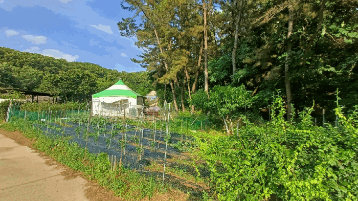 물건 사진 7