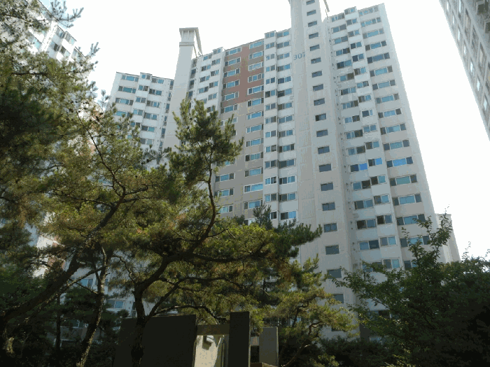 물건 사진 18