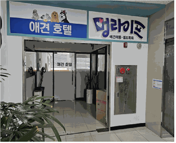 물건 사진 13