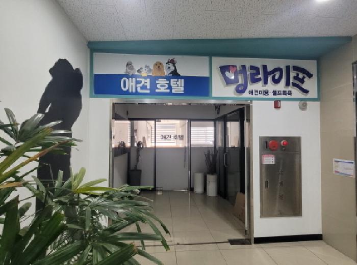 물건 사진 3