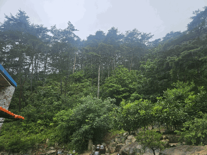물건 사진 24