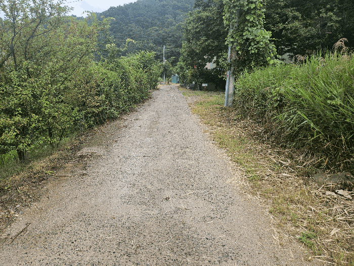 물건 사진 31