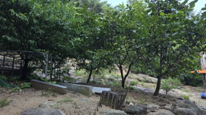물건 사진 10