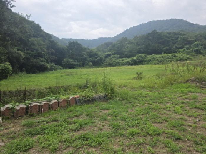 물건 사진 12