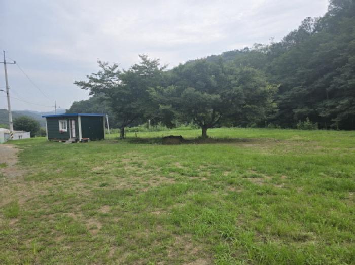 물건 사진 14