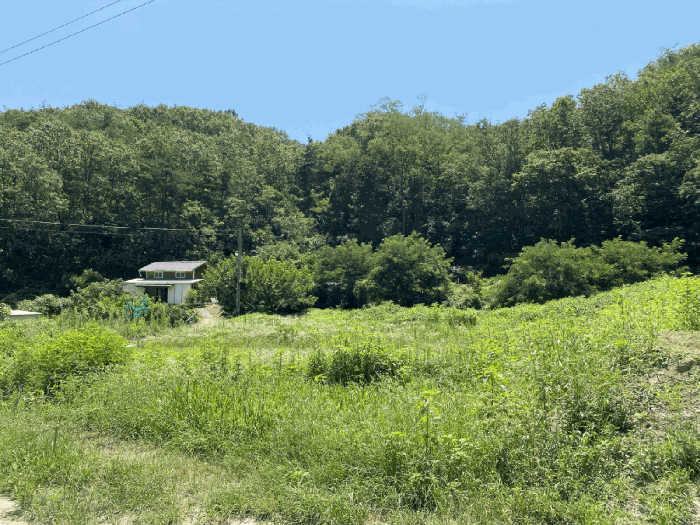 물건 사진 18