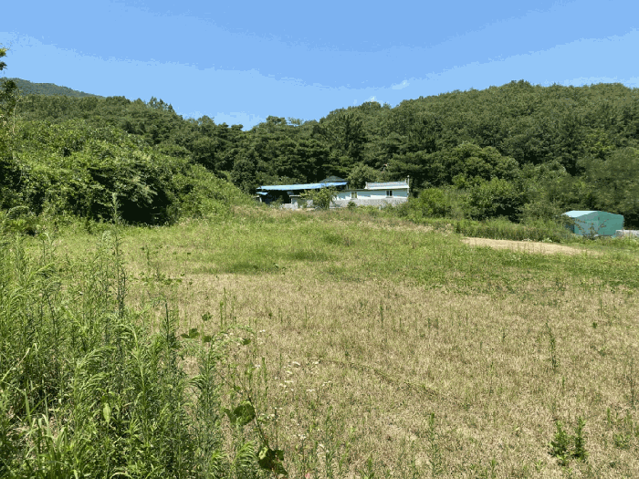 물건 사진 23