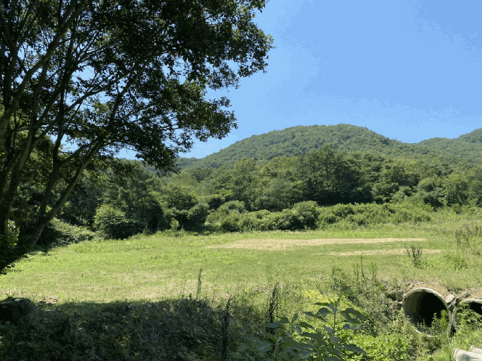 물건 사진 31