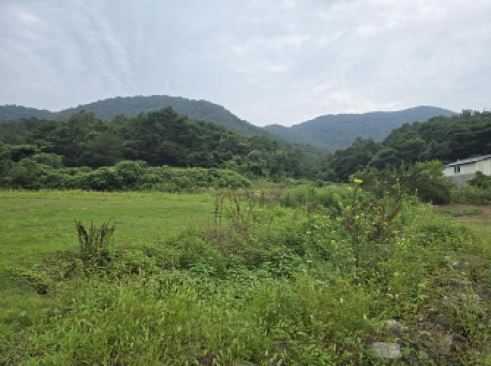 물건 사진 5