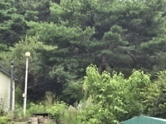 물건 사진 8
