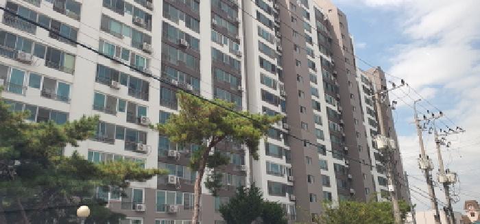 물건 사진 1
