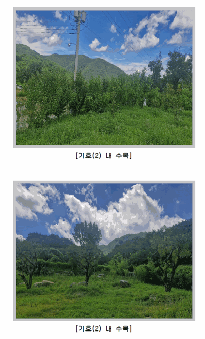 물건 사진 18