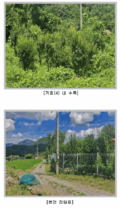 물건 사진 19