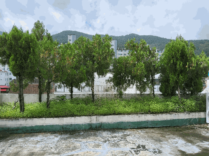 물건 사진 25