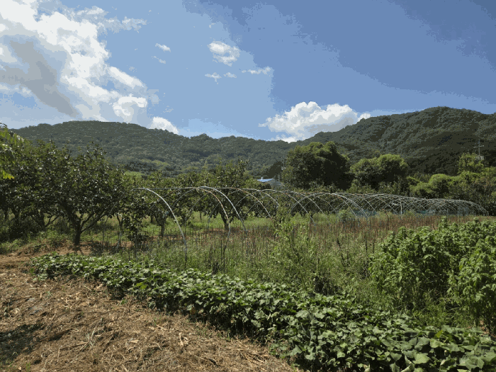물건 사진 15