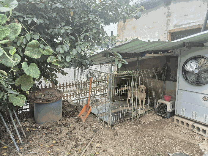 물건 사진 25