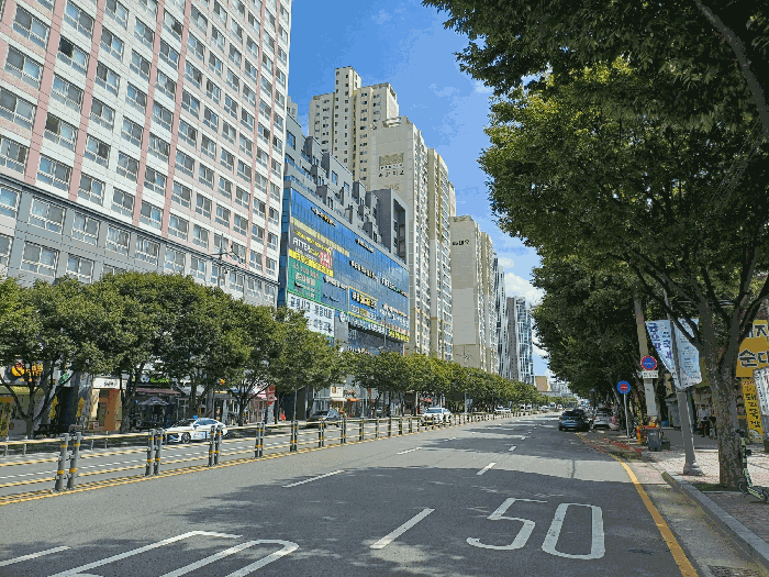 물건 사진 24