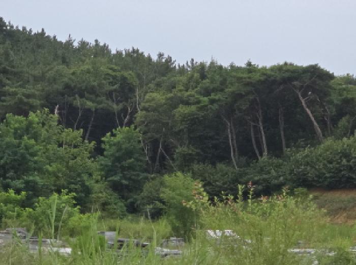 물건 사진 19