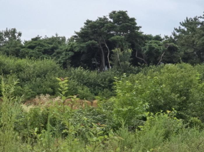 물건 사진 21