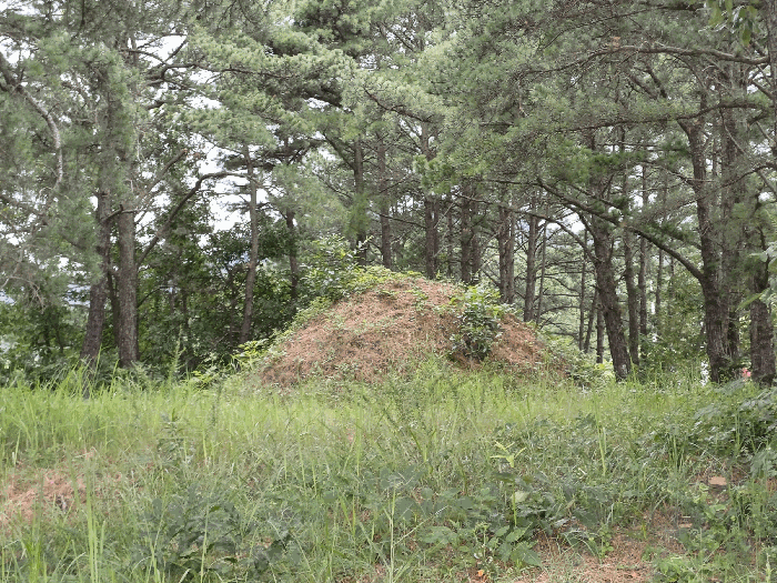 물건 사진 35