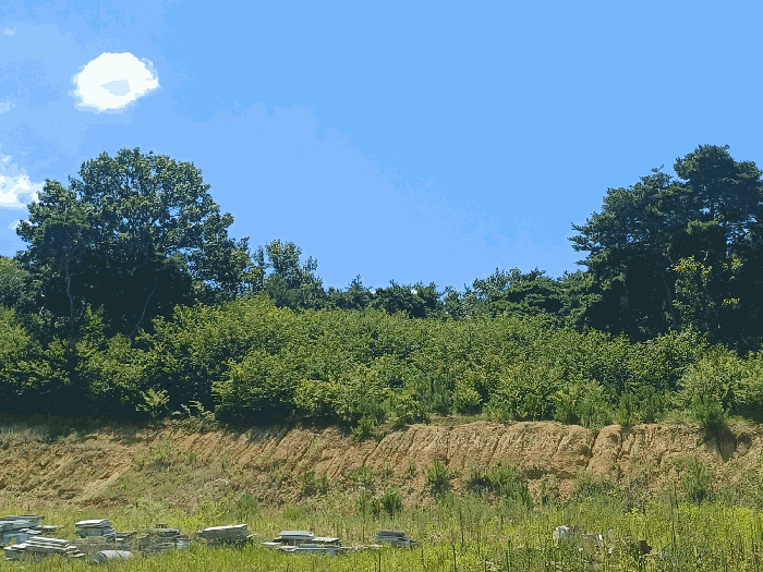 물건 사진 46