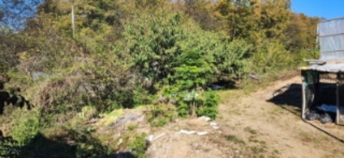 물건 사진 2