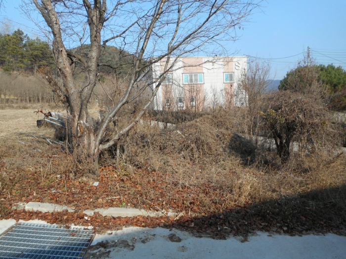 물건 사진 12