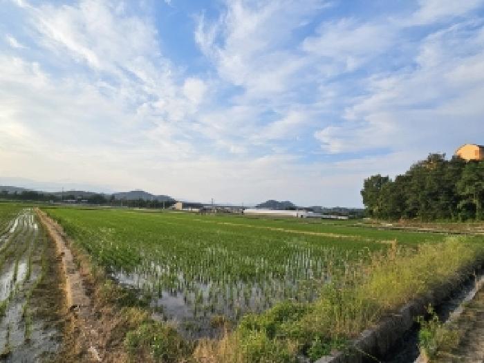 물건 사진 11